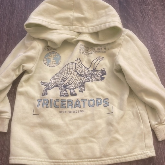 Toddler Boy Hoodie& Jeans& Pajamas& Sweatpants - Picture 6 of 16